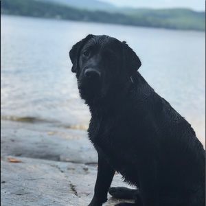 Meet your Posher, Ava